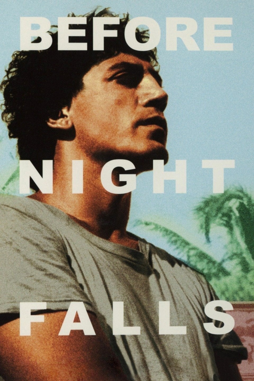 Постер Before Night Falls